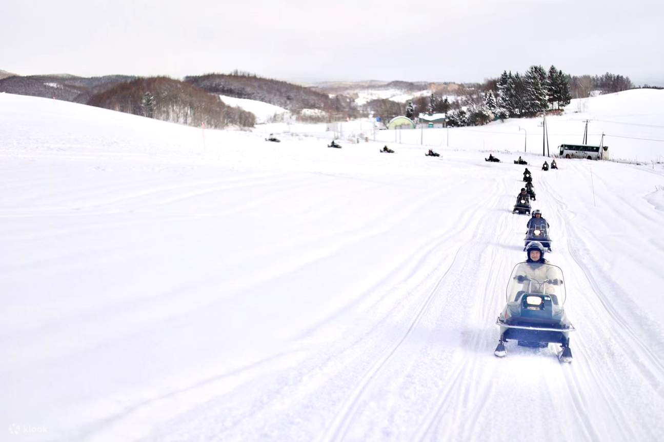 Winter Hokkaido | Asahiyama Zoo & Shikisai-no-oka & Blue Pond